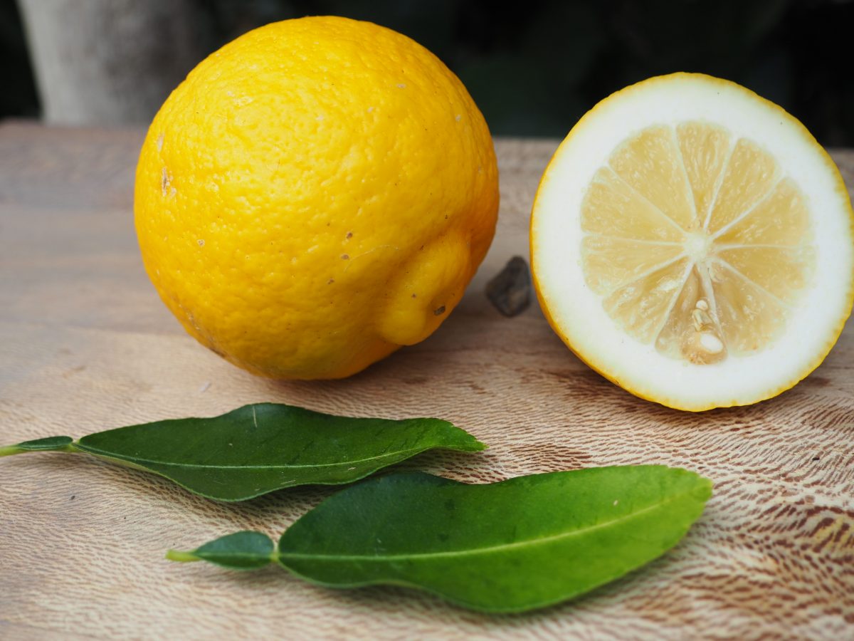 Ichang lemon