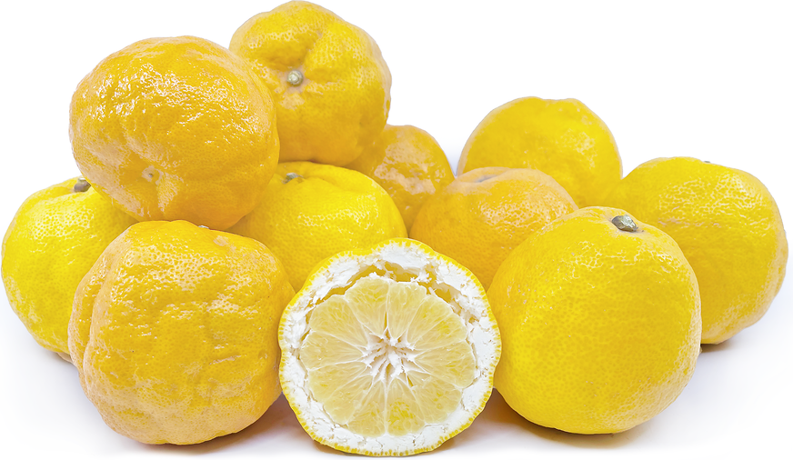 Bloomsweet grapefruit