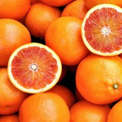 3 gal Vaniglia Sanguigno orange