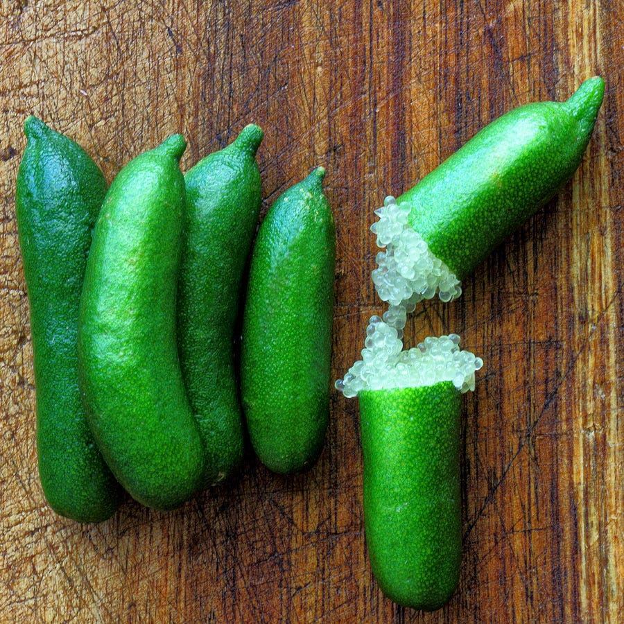 Australian finger lime