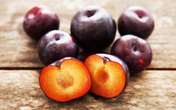 Spring Satin plumcot