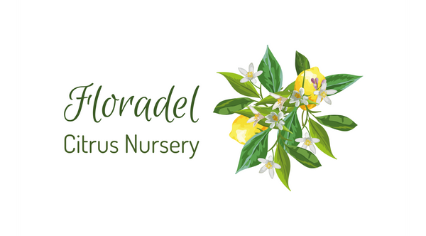 Floradel Citrus Nursery Store